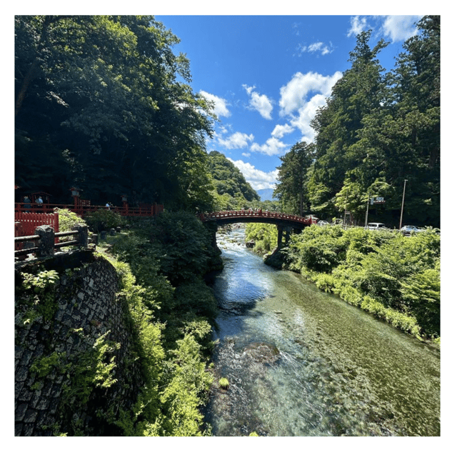 Tokyo: Nikko Kegon Falls Lake Chuzenji Toshogu Temple & More - Key points to know before you book
