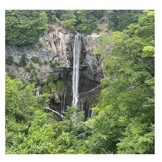 Tokyo: Nikko Kegon Falls Lake Chuzenji Toshogu Temple & More - Why a private Nikko day makes sense