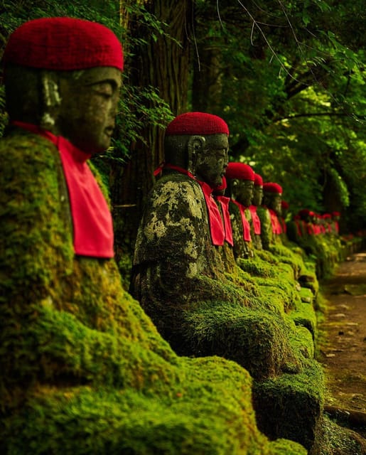 Tokyo: Nikko National Park Private Day Trip with Driver - Language, accessibility, and the small print that matters