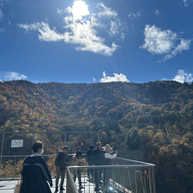 Tokyo → Nikko:Private Customizable Day Trip (English Driver) - Kegon Falls, Nikko’s loud natural centerpiece