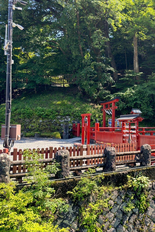 Tokyo: Nikko Private Day Tour - Key points to know before booking
