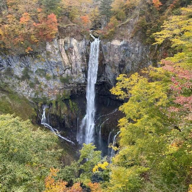 Tokyo: Nikko Private Day Tour Fully Customizeable Low Price - Akechidaira Ropeway and Kegon Waterfall