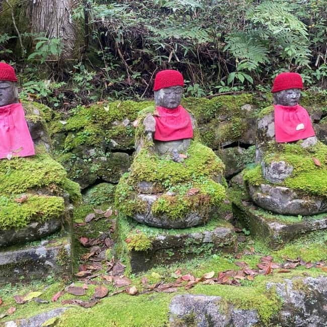 Tokyo: Nikko Private Day Tour Fully Customizeable Low Price - Toshogu Shrine and the carvings worth your time