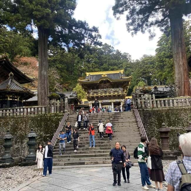 Tokyo: Nikko Private Day Tour Fully Customizeable Low Price - Lake Chuzenji and the mountain air