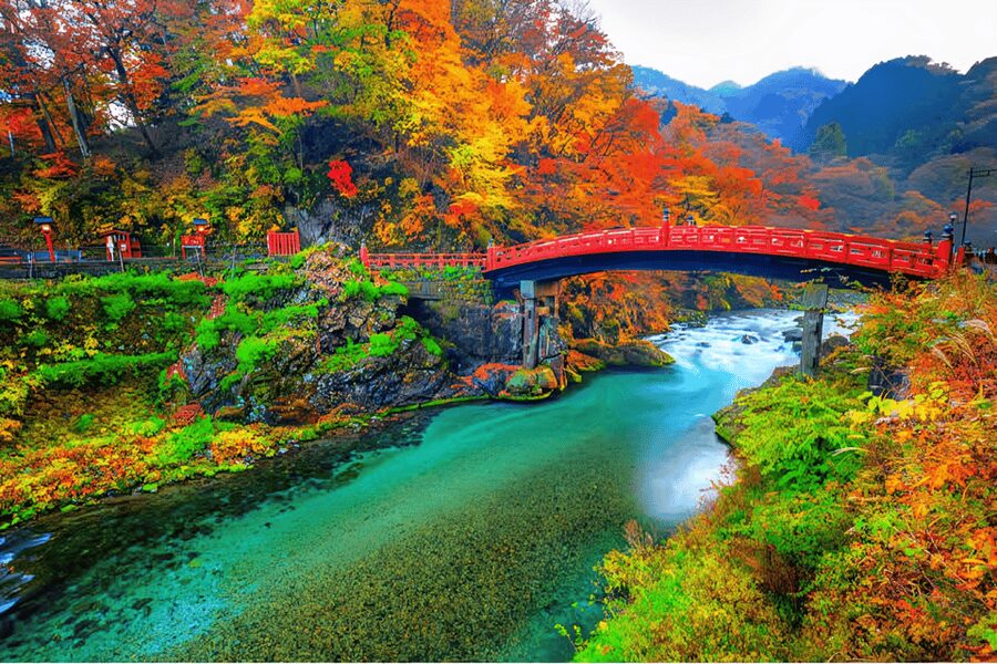 Tokyo: Nikko Private Sightseeing Day Trip with Driver - Key points to know before booking