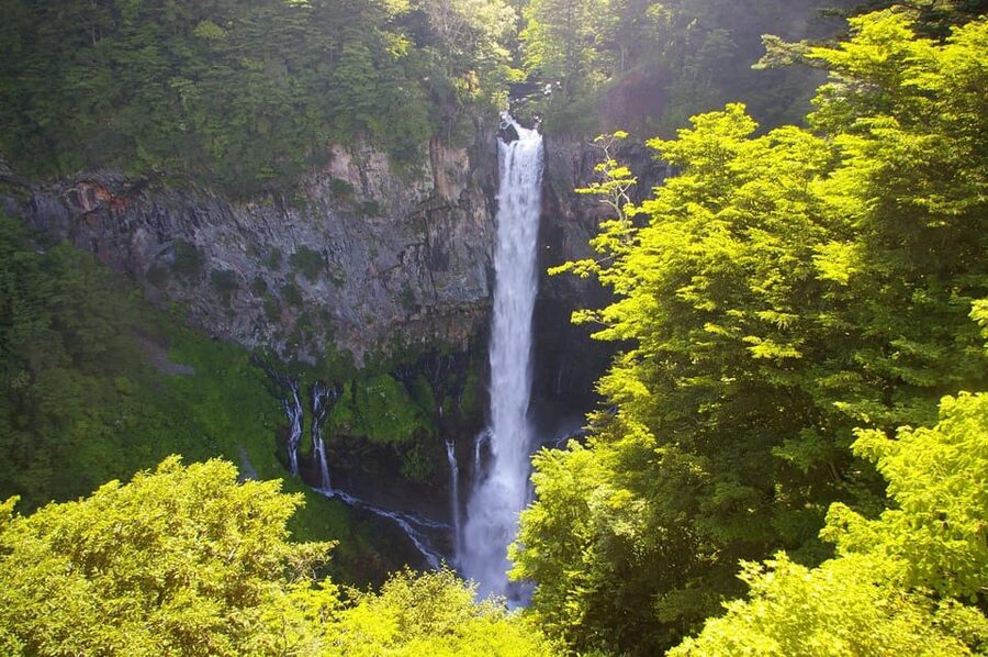 Tokyo: Nikko Private Sightseeing Day Trip with Driver - Timing, comfort, and the long return to Tokyo