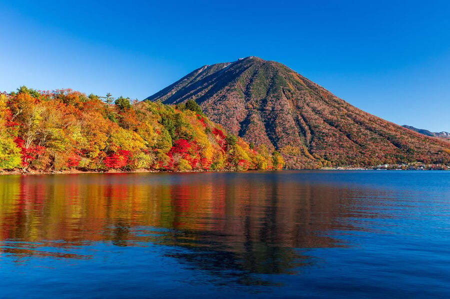 Tokyo: Nikko Toshogu Shrine and Kegon Waterfall Tour - Key points to know before booking