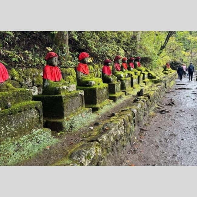 Tokyo: Nikko World Heritage Private Day Trip Hotel Pick-up - Key points before you book