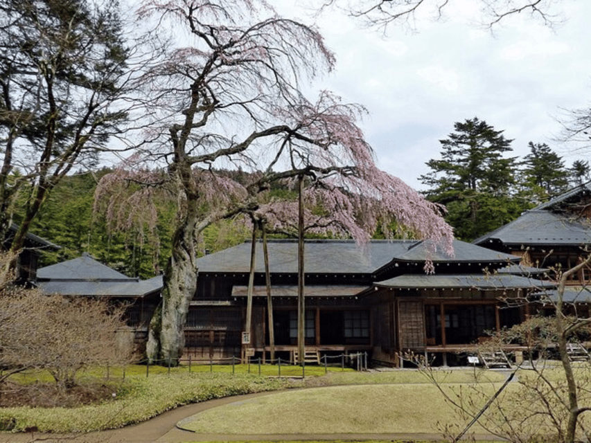 Tokyo: Nikko World Heritage Private Day Trip Hotel Pick-up - Drivers make or break the day