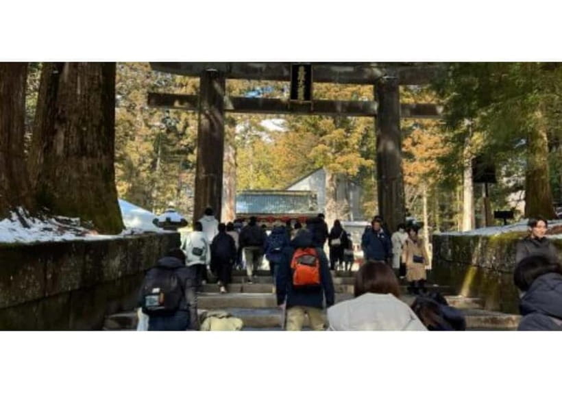 Tokyo: Nikko World Heritage Private Day Trip Hotel Pick-up - Why a private car changes the Tokyo to Nikko day