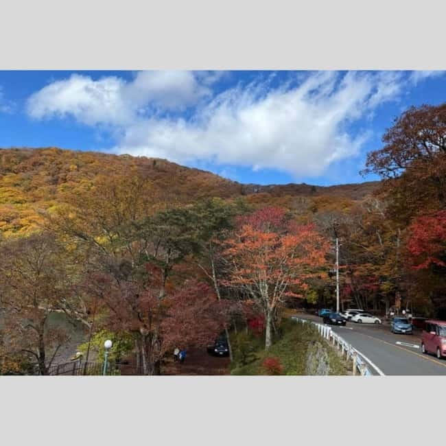 Tokyo: Nikko World Heritage Private Day Trip Hotel Pick-up - Toshogu Shrine is the day’s cultural centerpiece