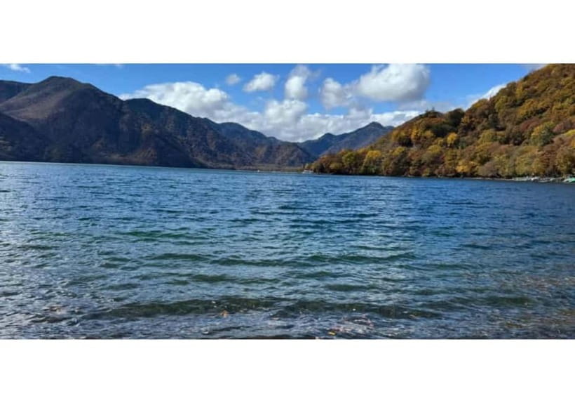 Tokyo: Nikko World Heritage Private Day Trip Hotel Pick-up - Tamozawa Imperial Villa adds a different layer of Japan