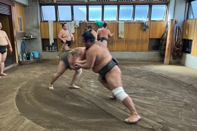 TOKYO , No1 Yokozuna Stable Morning Practice in Ryogoku - Key points to know before you book