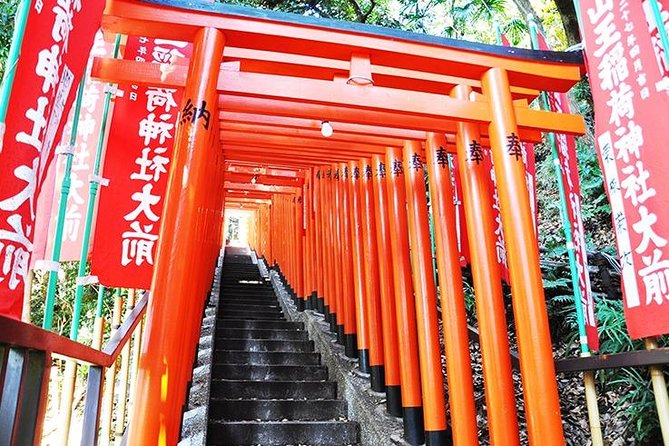 Tokyo Off the Beaten Path 6hr Private Tour with Licensed Guide - Yanaka, Nezu, and Sendagi: old Tokyo on foot