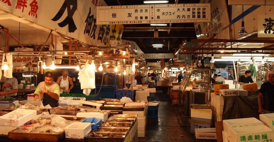 Tokyo: Off the Beaten Path Private Guided Tour - Yanaka Ginza and the old Tokyo mood