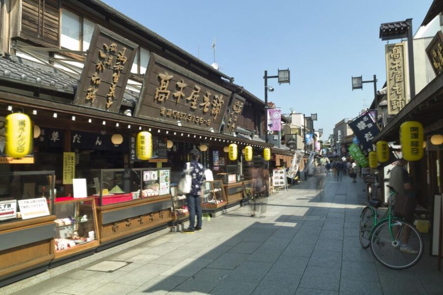 Tokyo: Off the Beaten Path Private Guided Tour - Fukagawa Edo Museum and Asakusa options
