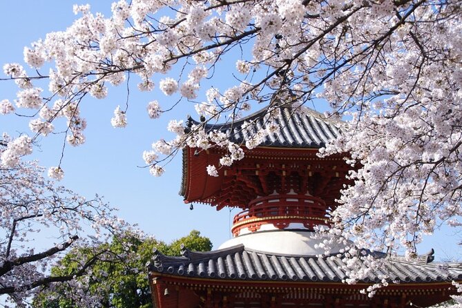 TOKYO OishiPark, Oshino & KoedoKawagoe, Fuji Mount - Three sides of Japan in one long day