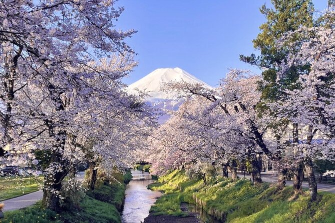 TOKYO OishiPark, Oshino & KoedoKawagoe, Fuji Mount - Oishi Park and the north shore of Lake Kawaguchi