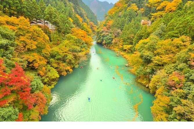 Tokyo Okutama Day Trip Tour - Why Okutama makes a smart break from central Tokyo