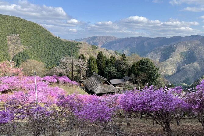 Tokyo Okutama Day Trip Tour - Hinohara Village and an old mountain home