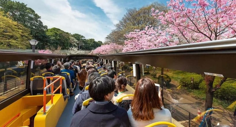 Tokyo: Open Top Panoramic Sightseeing Bus with Audio Guide - Key points to know before you book