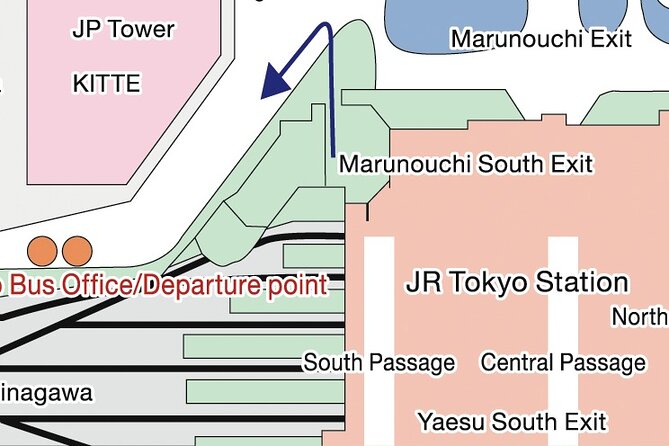 Tokyo Panoramic 1 Day: Meiji Shrine, Asakusa, Odaiba and SKYTREE® - Meiji Shrine: a calm opening in the city