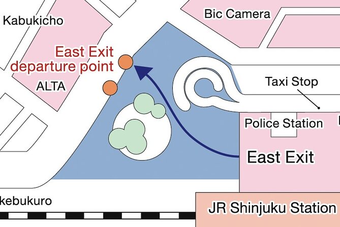 Tokyo Panoramic 1 Day: Meiji Shrine, Asakusa, Odaiba and SKYTREE® - Crossing Rainbow Bridge to Odaiba