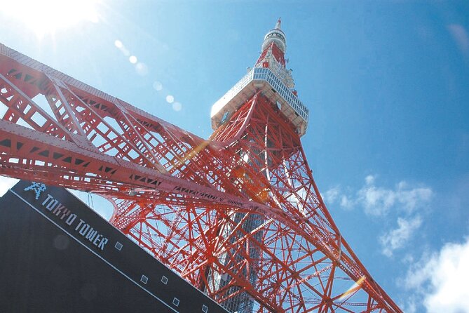 Tokyo Panoramic 1 Day: Meiji Shrine, Asakusa, Odaiba and SKYTREE®