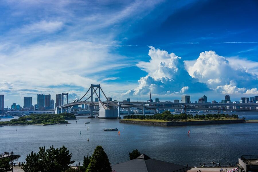 Tokyo: Personalized Private 6-Hour Tour - Shibuya in 30 minutes: Tokyo at full volume