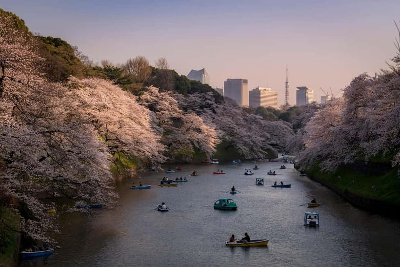 Tokyo: Photography Masterclass - Private Photo Lesson - Shibuya Crossing: timing the famous shot