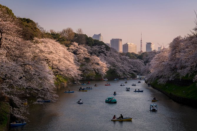 Tokyo Photography Masterclass - Private Photography Lesson - Learning aperture, shutter speed, ISO, and focus