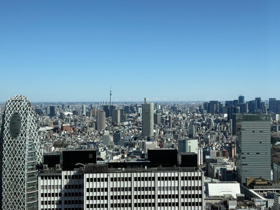 Tokyo: Private 1-Day Sightseeing Tour by Car with Guide - The luxury car is valuable, but only in the right situation