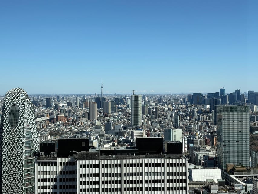 Tokyo: Private 1-Day Sightseeing Tour by Car with Guide - Practical details that can make the day better