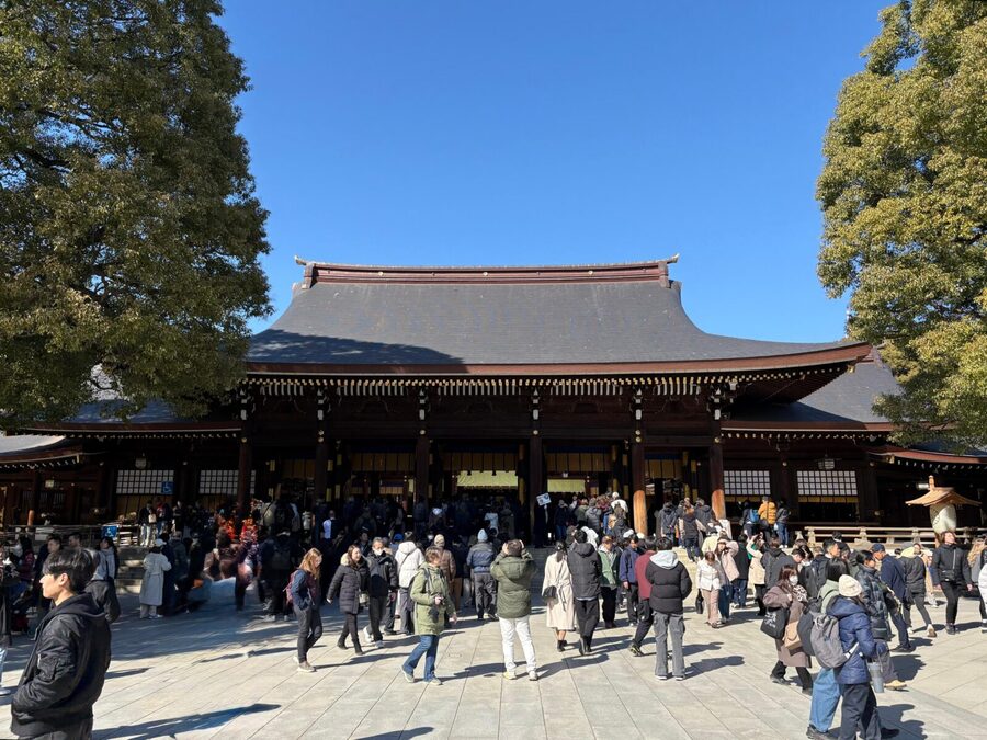 Tokyo: Private 1-Day Sightseeing Tour by Car with Guide - What the strong ratings suggest, and where to stay realistic