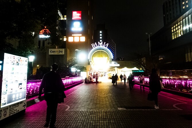 Tokyo Private Art Tour in Kagurazaka Shinjuku with Licensed Guide - What the private format adds
