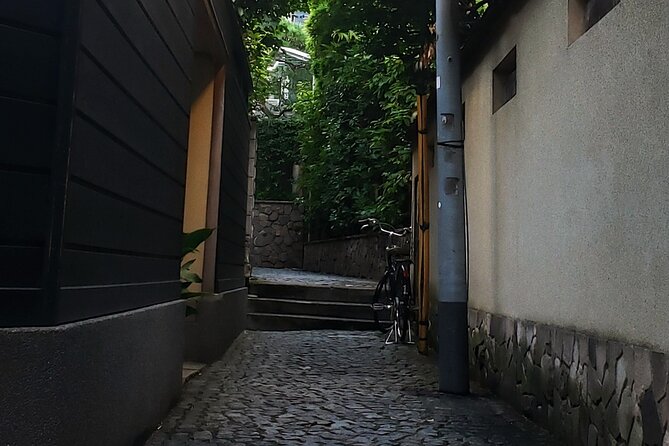Tokyo Private Art Tour in Kagurazaka Shinjuku with Licensed Guide