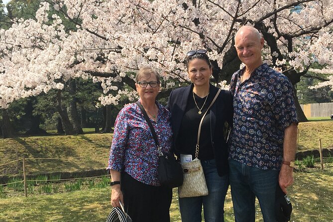 Tokyo Private Cherry Blossom Tour with a Local – Picnic Included - Why a private cherry blossom tour can help
