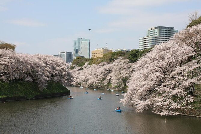 Tokyo Private Cherry Blossom Tour with a Local – Picnic Included - A quieter pause at Yanaka Cemetery