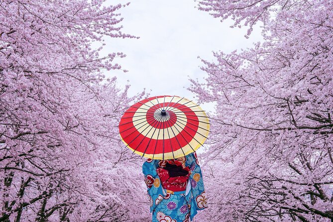 Tokyo Private Cherry Blossom Tour with a Local – Picnic Included - Nakamise Street for snacks and small souvenirs