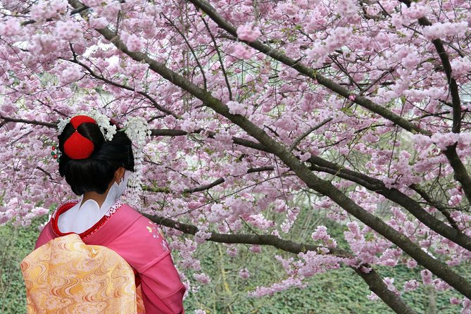 Tokyo Private Cherry Blossom Tour with a Local – Picnic Included - Choosing your hanami meal at Matsuya Asakusa