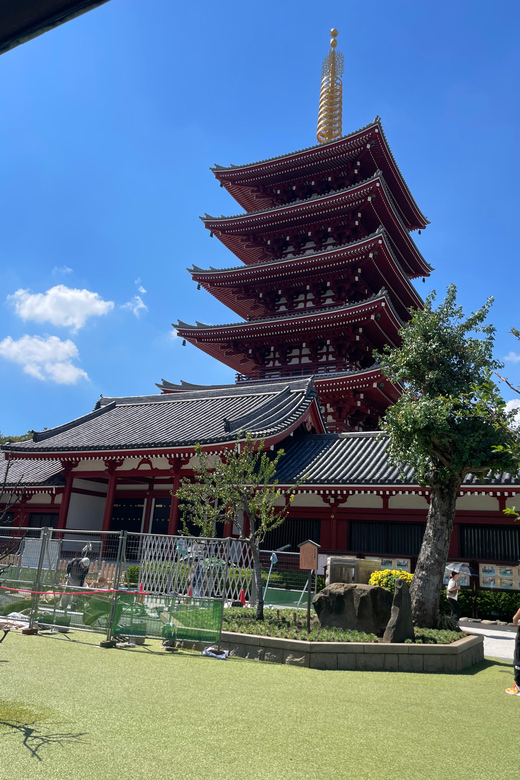 Tokyo: Private City Highlights Tour - Meiji Shrine and the wooded side of Tokyo