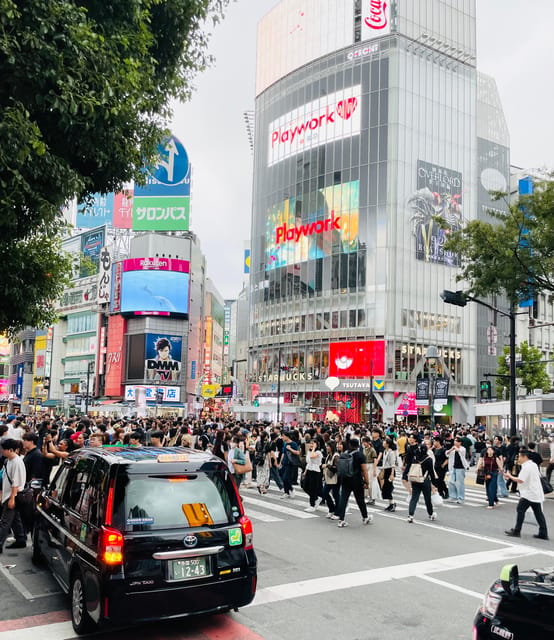 Tokyo: Private City Highlights Tour - Tokyo Skytree and Tokyo Tower: two city views