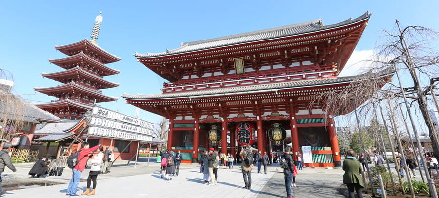 Tokyo: Private City Highlights Tour with Local Guide - Tsukiji: food, market streets, and a flexible lunch