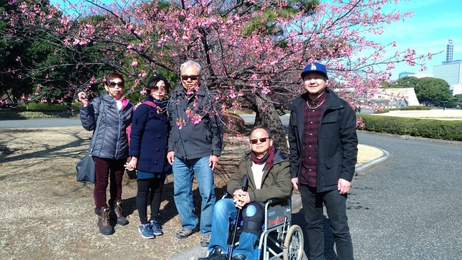 Tokyo: Private City Highlights Tour with Local Guide - What the guides add beyond directions