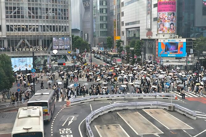 Tokyo Private Custom Tour with Local guide - Shibuya Crossing and lunch at 11 a.m.