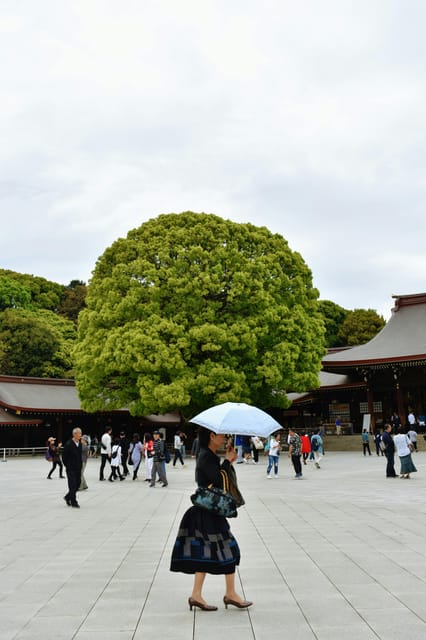 Tokyo: Private Customizable City Tour with Chauffeur - Timing, comfort, and practical costs