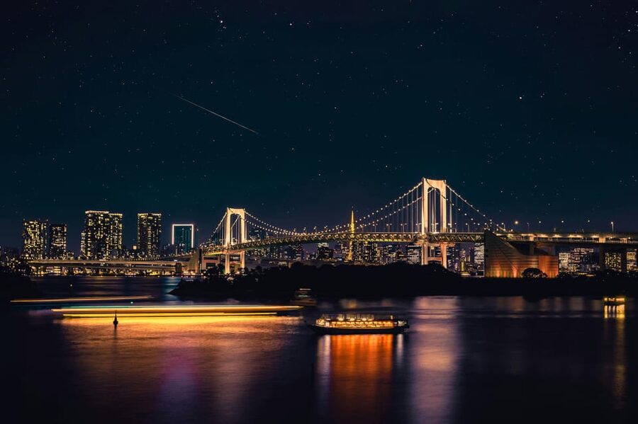 Tokyo: Private Customizable City Tour with Chauffeur - Why a private vehicle helps in Tokyo