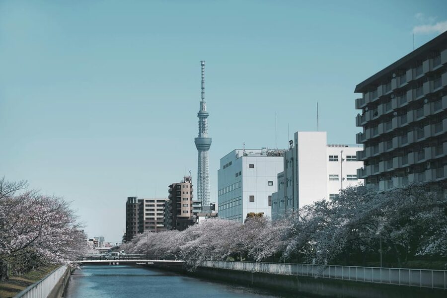 Tokyo: Private Customizable City Tour with Chauffeur - Imperial Palace and two skyline towers