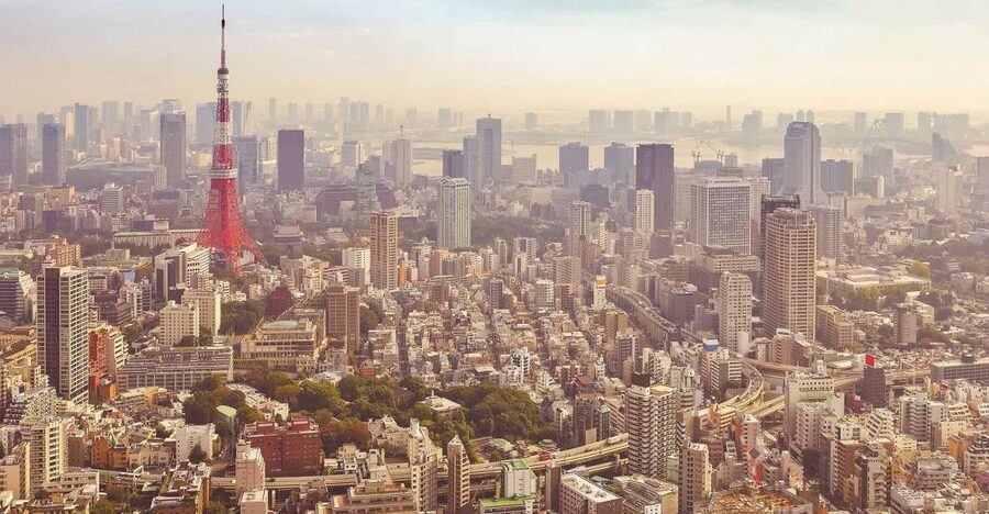 Tokyo: Private Customizable Day Tour of Tokyo - A private car changes the shape of your Tokyo day
