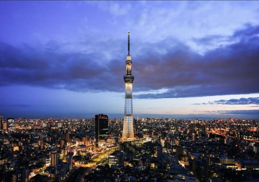 Tokyo: Private Customizable Day Tour with Chauffeur - Key points to know before booking